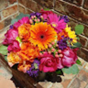 Meet your Posher, Naomi